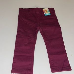 Garanimals infant girl leggings Burgundy pant Sz 18m